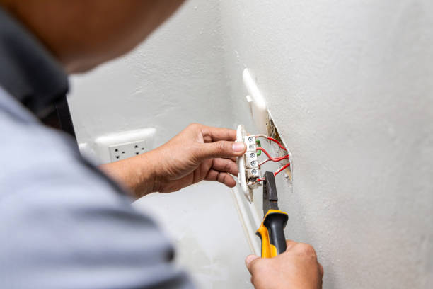 Best Ceiling Fan Installation Electrician  in Wilmer, TX